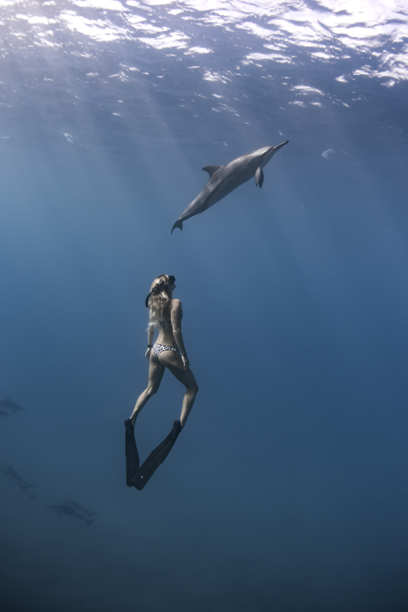 IanCoble_IC_0217_Maui_00893